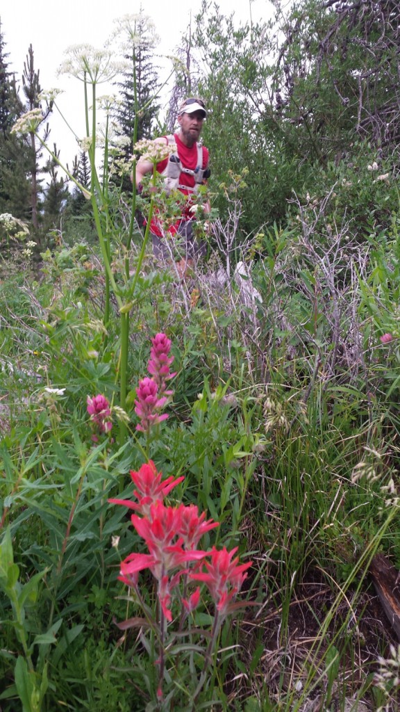 ns100k-cam-20150704_171801-576x1024.jpg