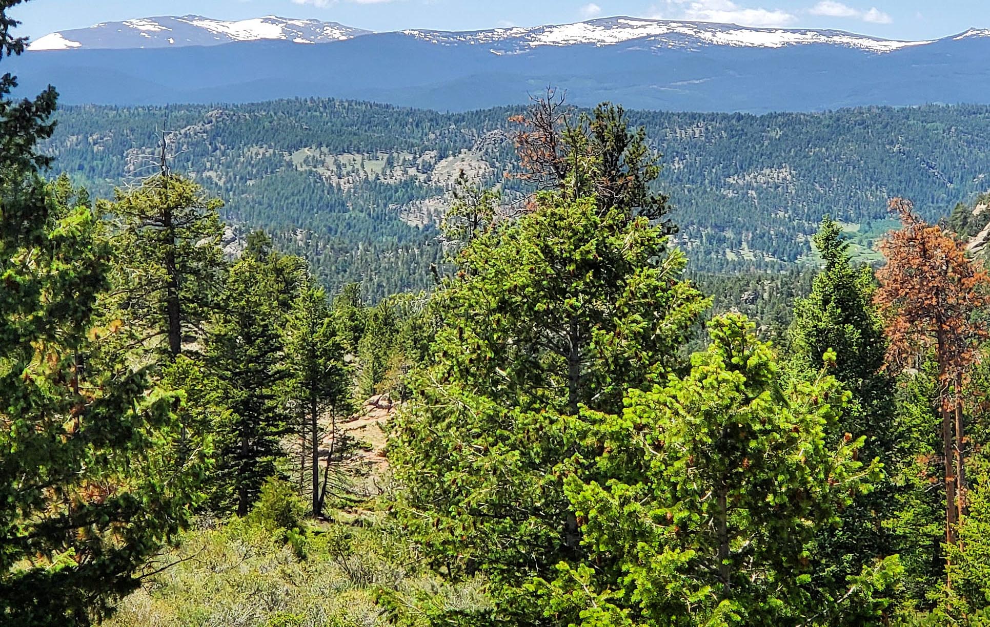 Red Feather Trail Jamboree September 2022, 2024